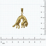 Dije de Oro 14K
